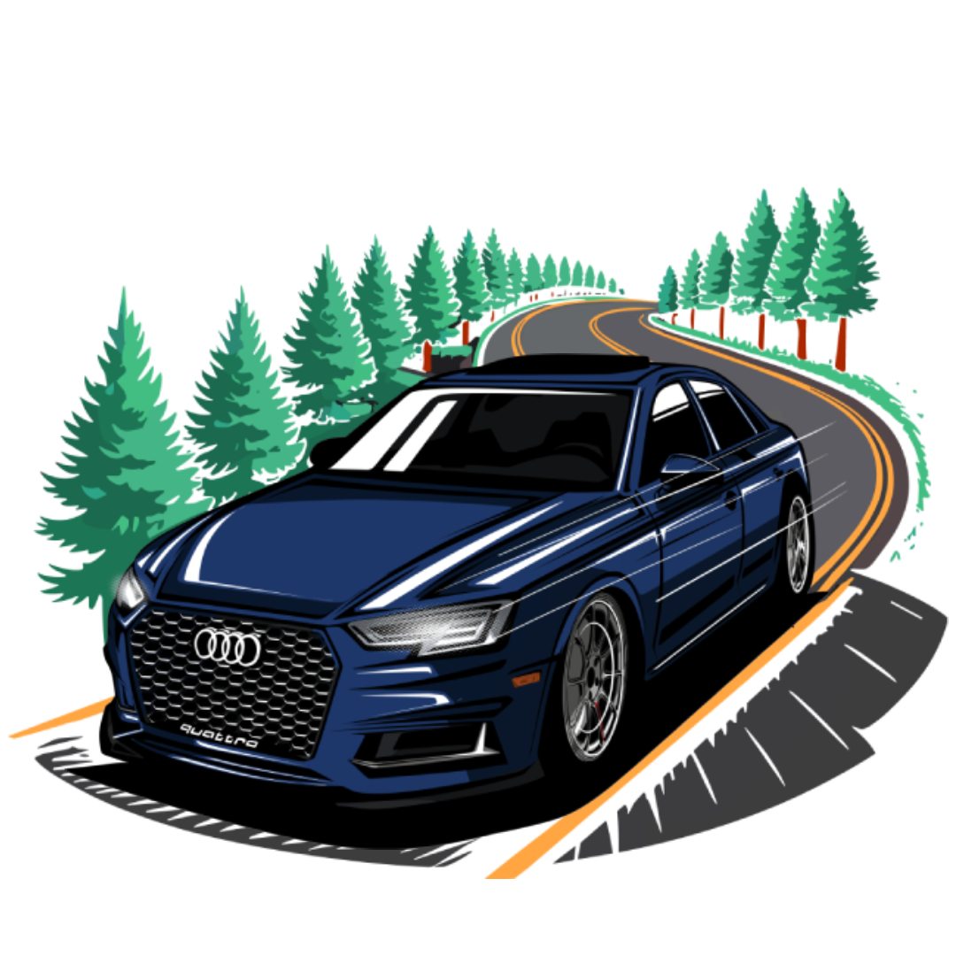 Tye's Audi B9 S4